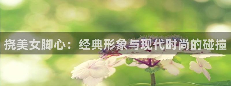 包子漫画官网入口网页版