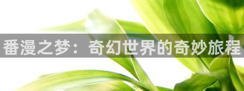 包子漫画官方正版