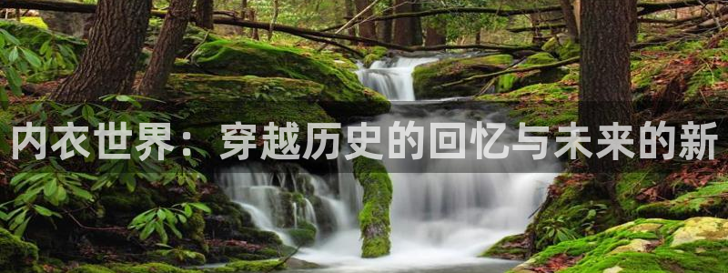 绍宋包子漫画