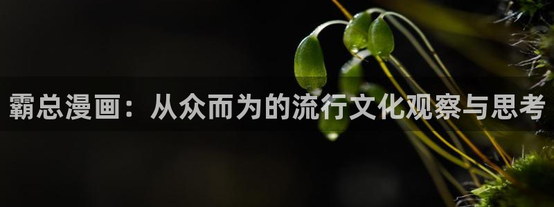 包子漫画官方版入口