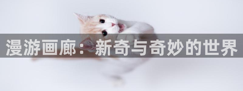包子漫画免费漫画页面在线看下拉式