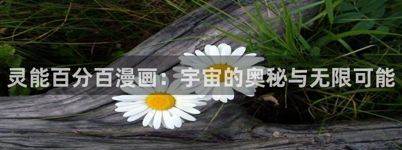包子漫画app好用吗